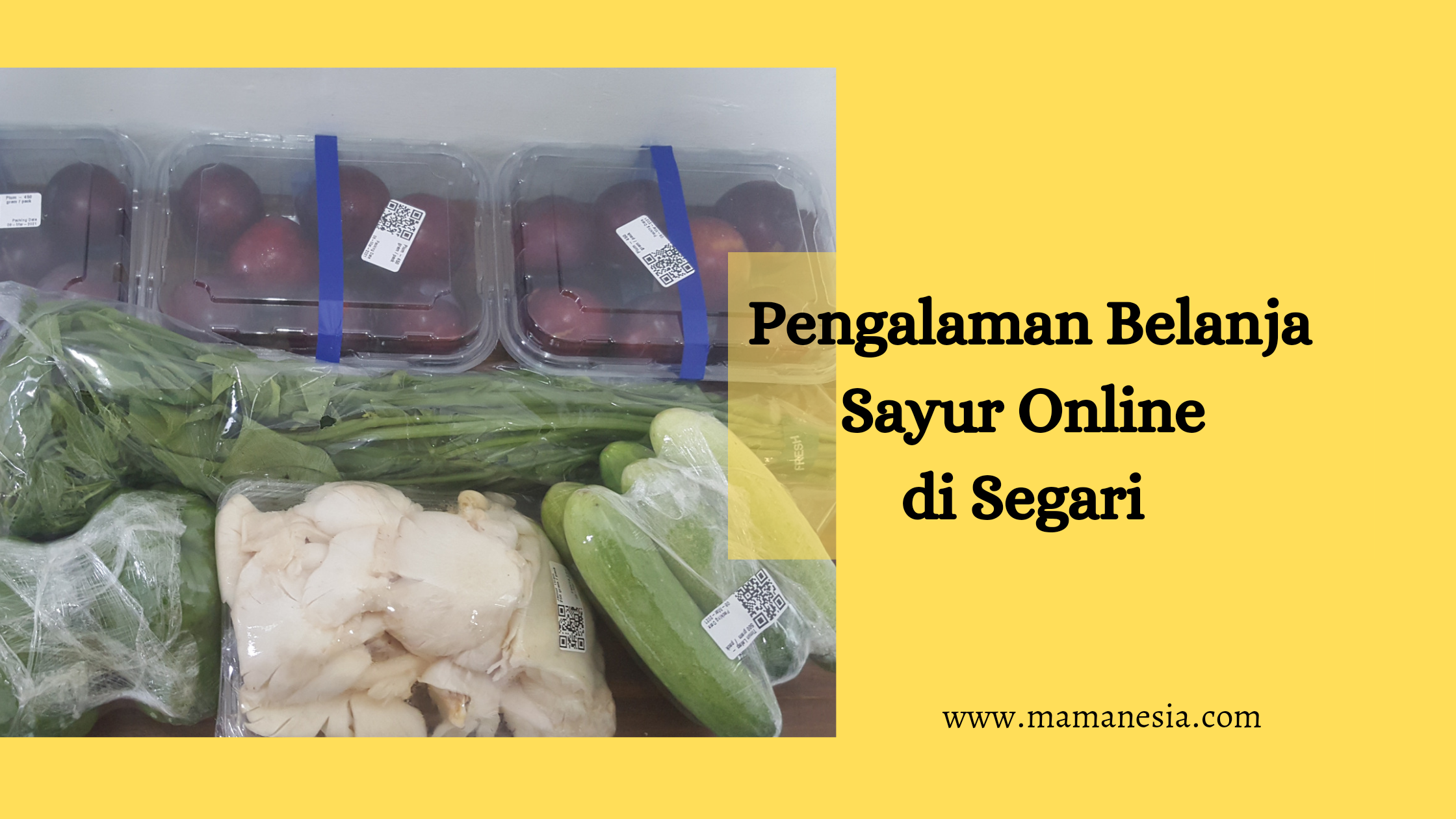 belanja sayur online