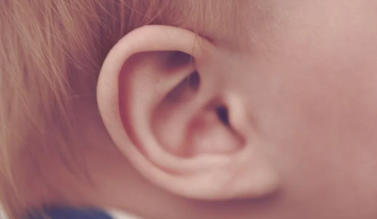 telinga anak