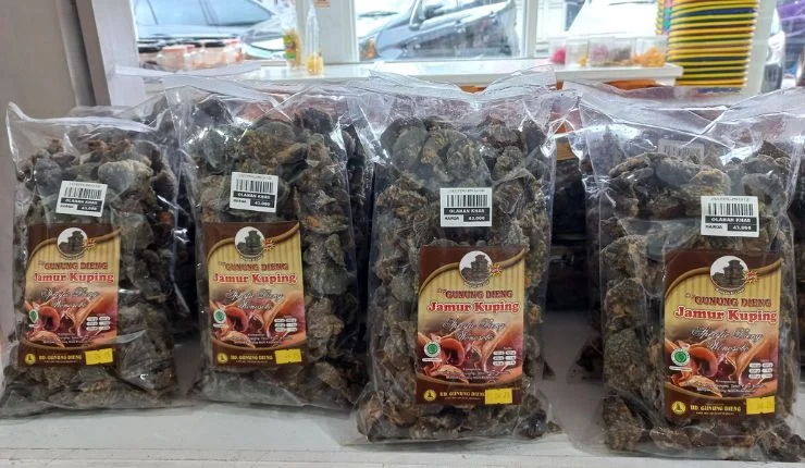 makanan khas Dieng keripik jamur