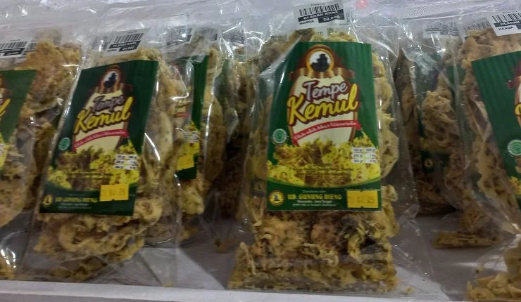 makanan khas dieng tempe kemul