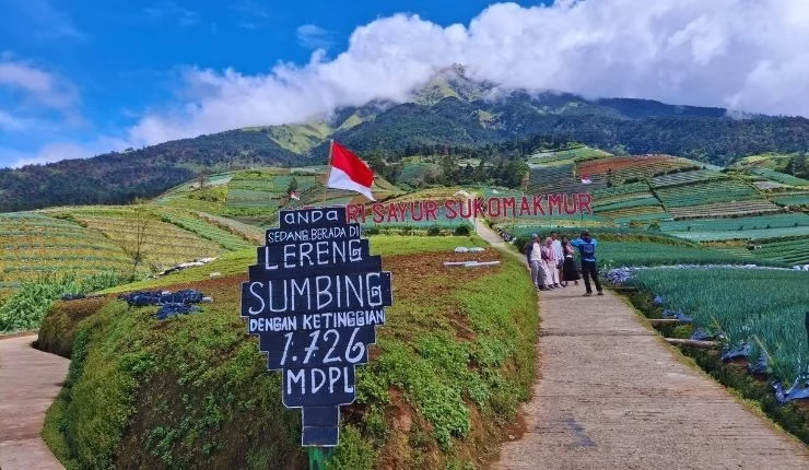 negeri sayur sukomakmur