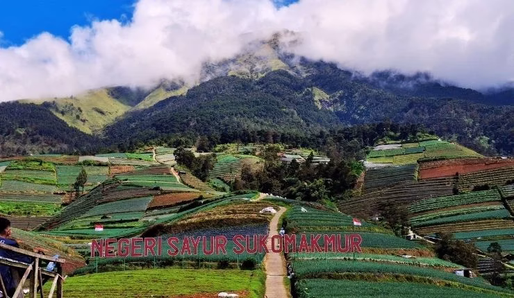 nepal-van-java